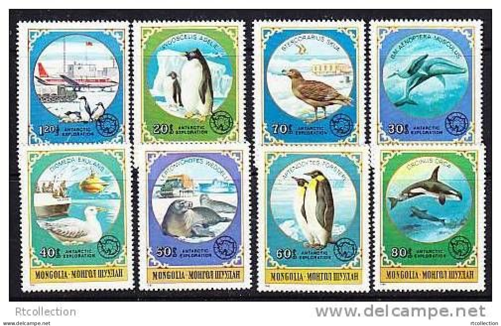 Mongolia 1980 Antarctic Wildlife Animals Exploration Bird Penguin Whale Dolphins Seal Sealife Stamps MNH Mi 1336-1343 - Fauna Antártica