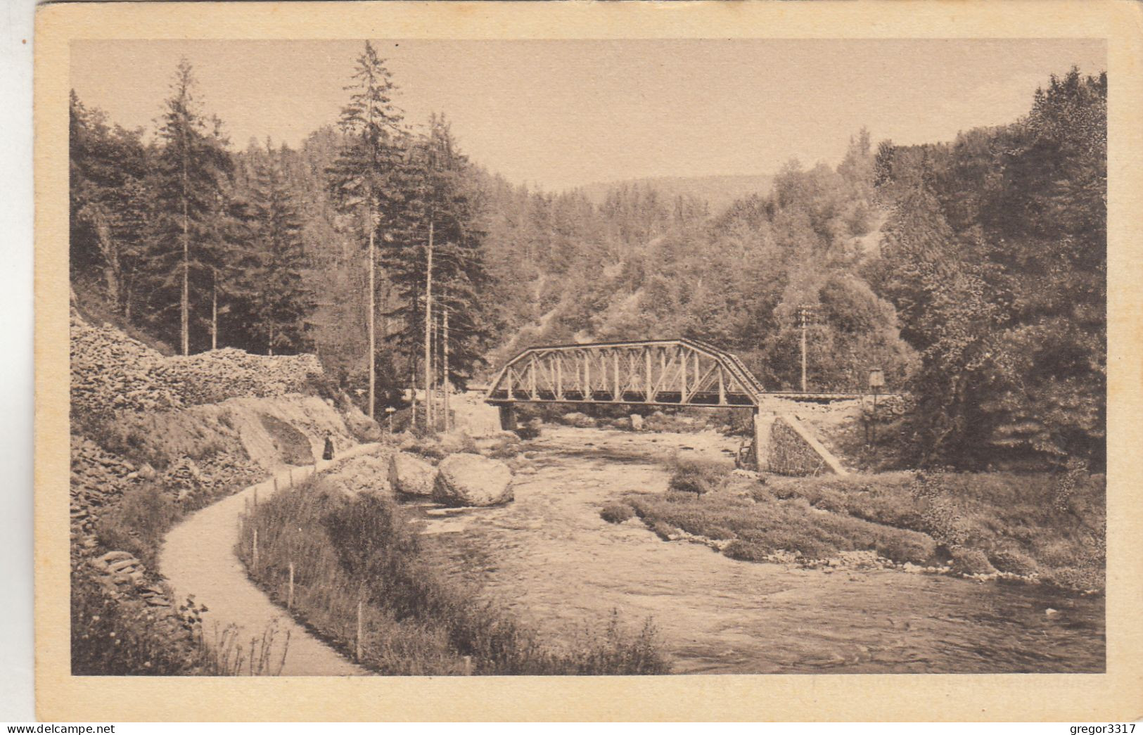 C9068) VOGTLÄNDISCHE SCHWEIZ - ELSTERTAL Bei STEINICHT - Alt - Brücke Straße - Vogtland