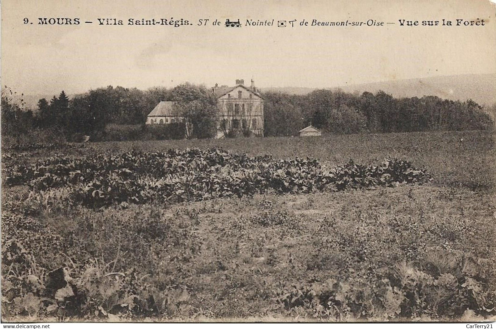 CPSM. 95 MOURS. VILLA SAINT REGIS. VUE SUR LA FORÊT. - Mours