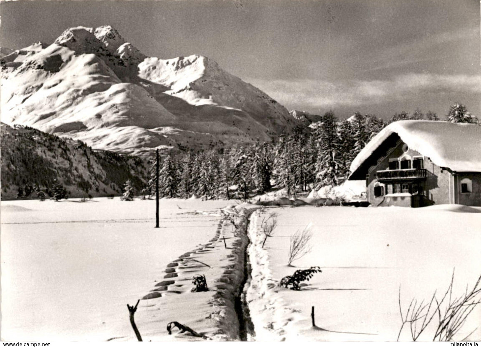 Sils Im Engadin - Blick Auf Piz Della Margna (020-22) * 26. 2. 1963 - Sils Im Engadin/Segl