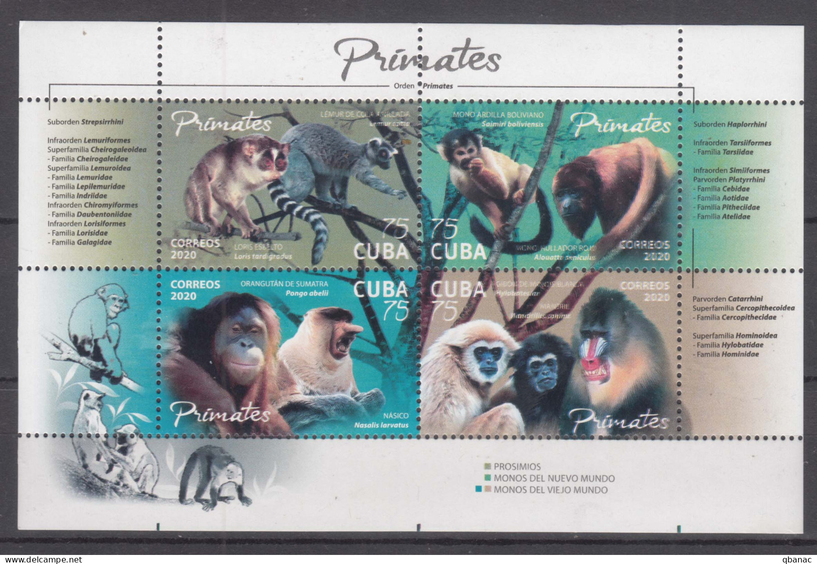 Cuba 2020 Animals Monkeys, Mint Never Hinged Block - Neufs