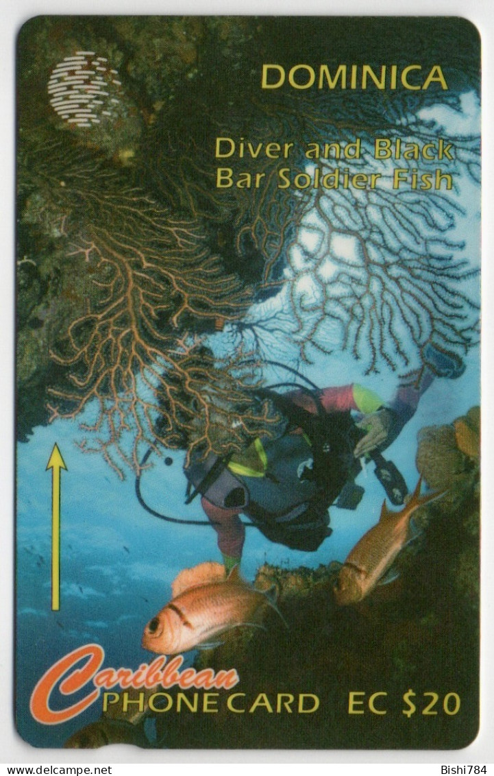 Dominica - Diver & Black Bar Soldier Fish - 7CDME - Dominica
