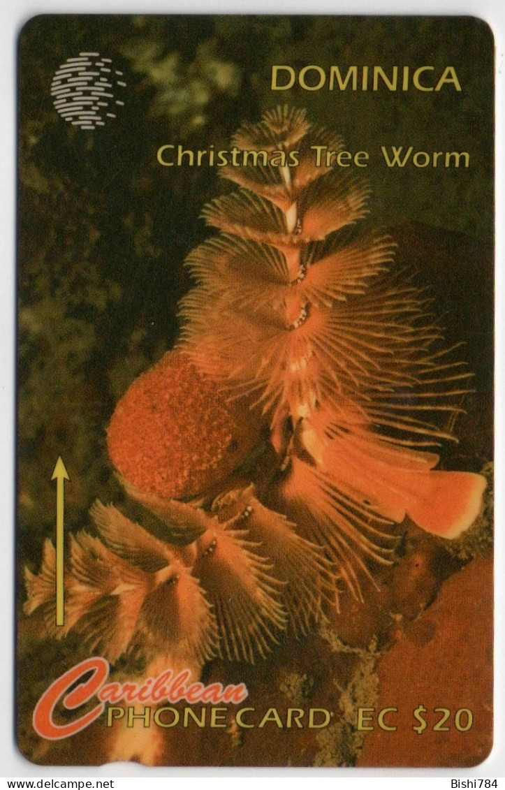 Dominica - Christmas Tree Worm - 7CDMK (with Regular O) - Dominica