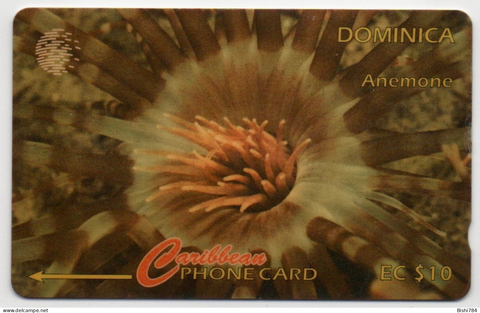 Dominica - Anemone - 9CDMA (Regular O) - Dominique
