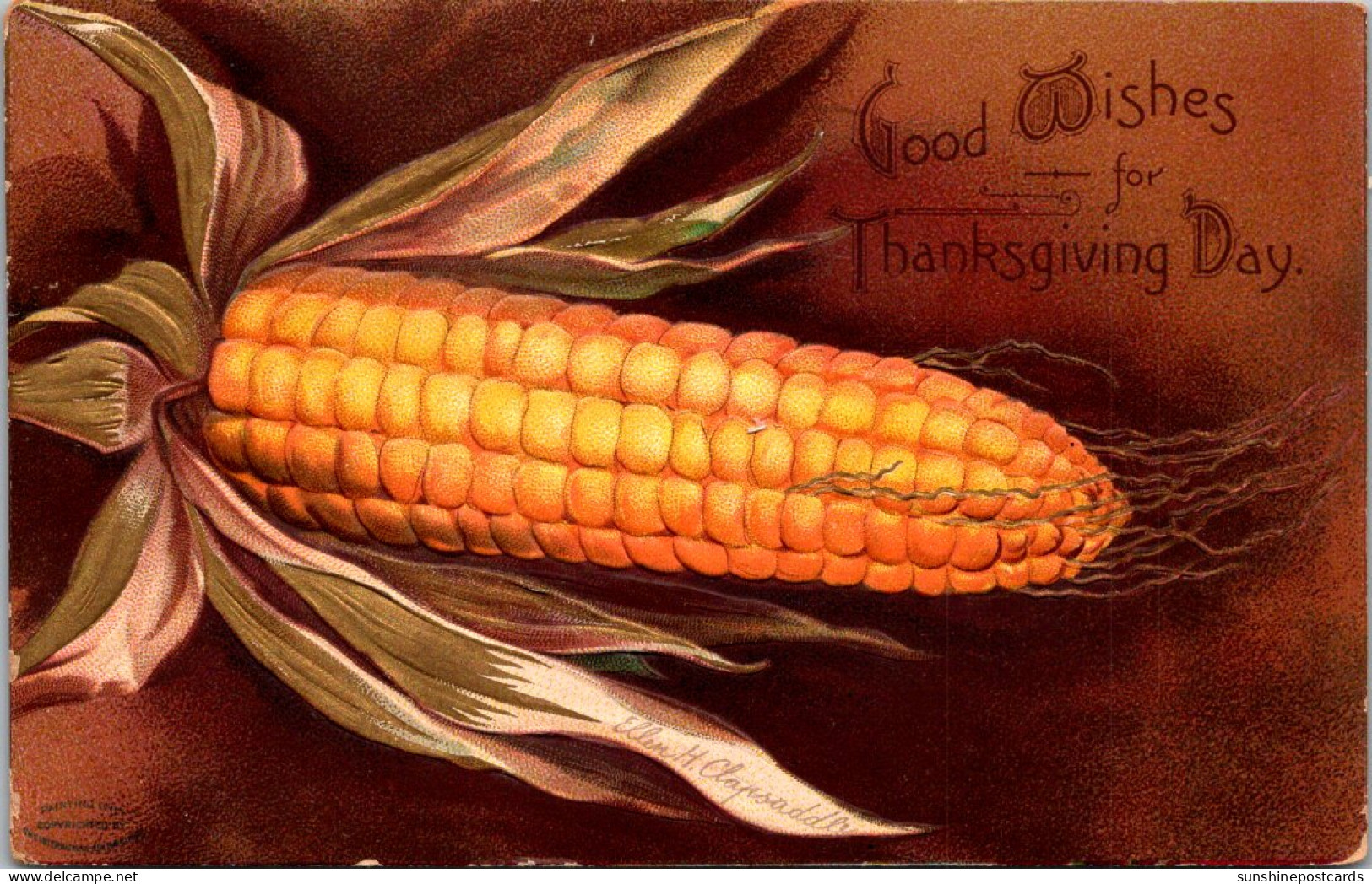 Thanksgiving Ear Of Corn Clapsaddle 1907 - Thanksgiving