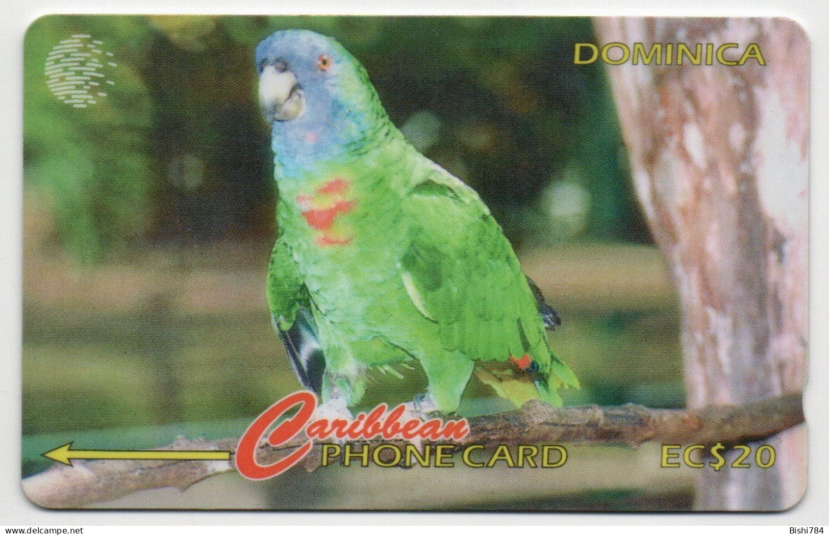 Dominica - Jaco Parrot - 225CDMA - Dominique