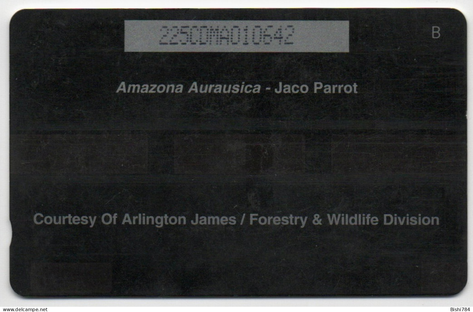 Dominica - Jaco Parrot - 225CDMA - Dominica