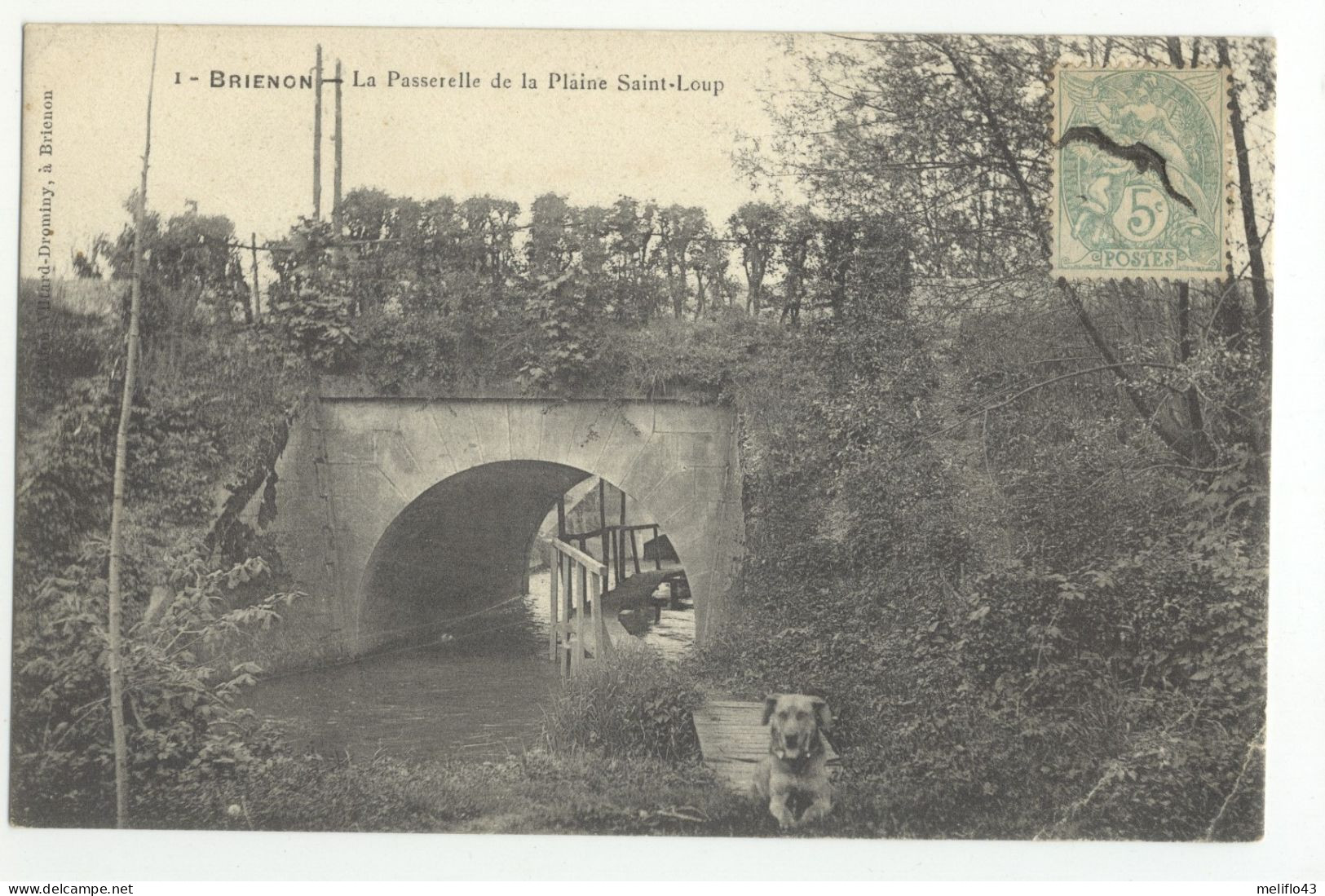 89/CPA A - Brienon - La Passerelle De La Palaine Saint Loup (chien) - Brienon Sur Armancon