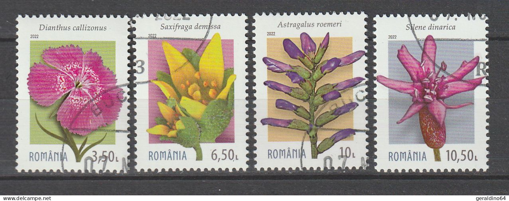 Rumänien 2022 Blumen Pflanzen Der Karpaten Mi 8076 - 8079 Gestempelt Used - Gebraucht