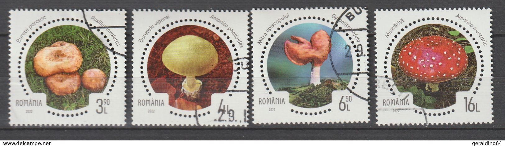 Rumänien 2022 Pilze Mushrooms Mi 8028 - 8031 Gestempelt Used - Used Stamps