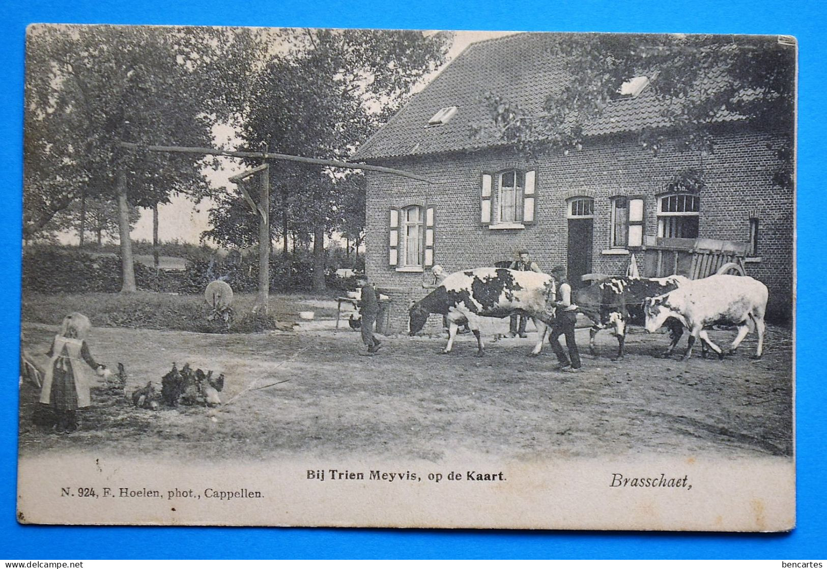 Brasschaet 1905: Bij Trien Meyvis, Op De Kaart. Très Animée, Très Belle Carte. - Brasschaat