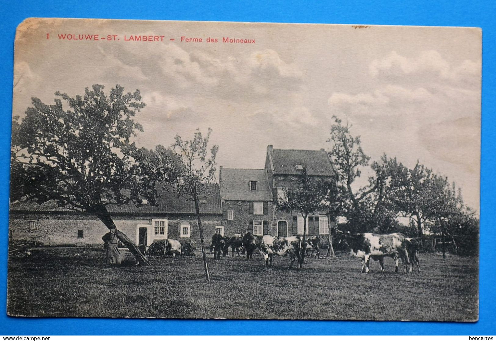 Woluwe-St-Lambert 1910: Ferme Des Moineaux Animée - Woluwe-St-Lambert - St-Lambrechts-Woluwe