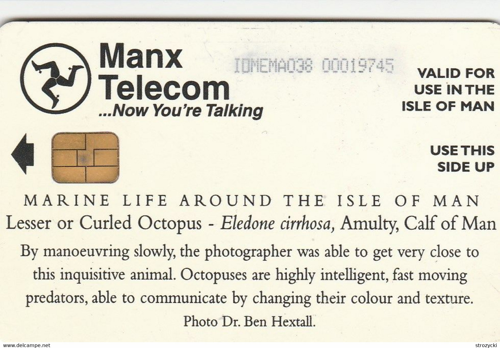 Isle Of Man - Marne Life - Curled Octopus - Man (Isle Of)