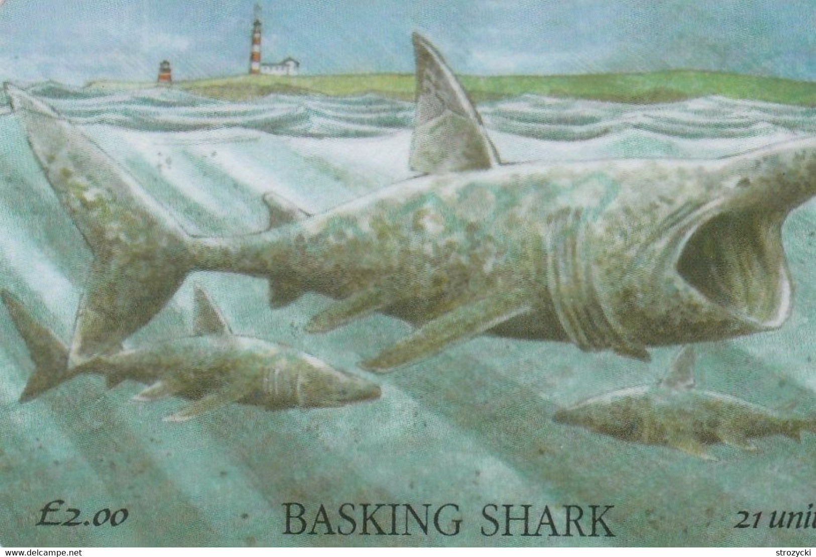 Isle Of Man - Basking Shark - Man (Isle Of)