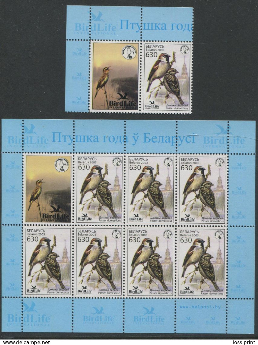 Belarus:Unused Sheet And Stamps Bird Sparrow, Passer Domesticus, 2003, MNH - Sparrows