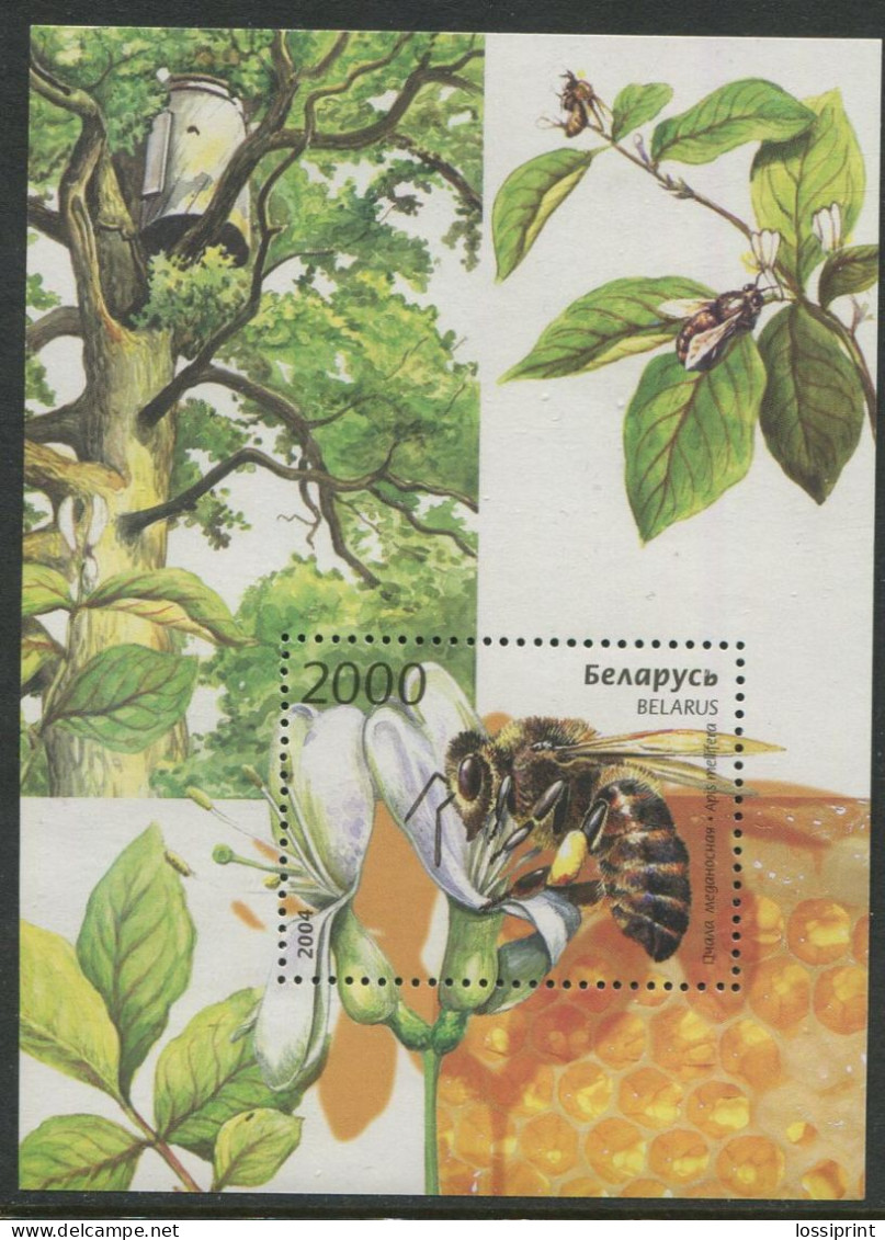 Belarus:Unused Block Bee, 2004, MNH - Abeilles