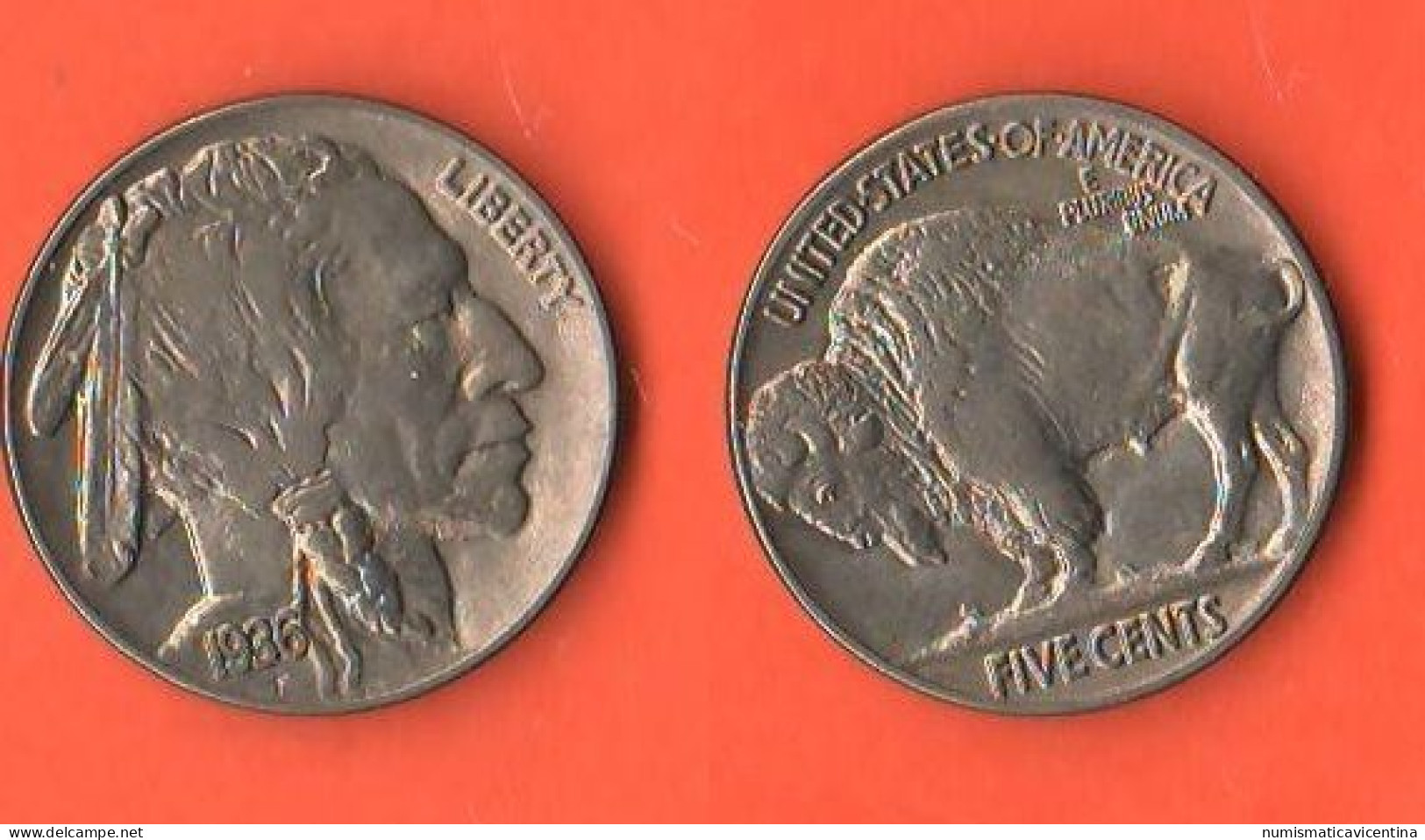 America USA  5 Five Cents 1936 Buffalo / Indian Head High Quality Nickel Coin - 1913-1938: Buffalo