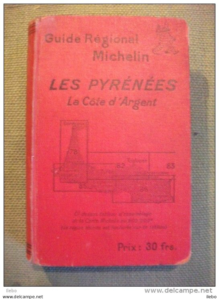 Les Pyrénées La Côte D'argent  Guide Régional Michelin 1928  Voyage - Michelin-Führer
