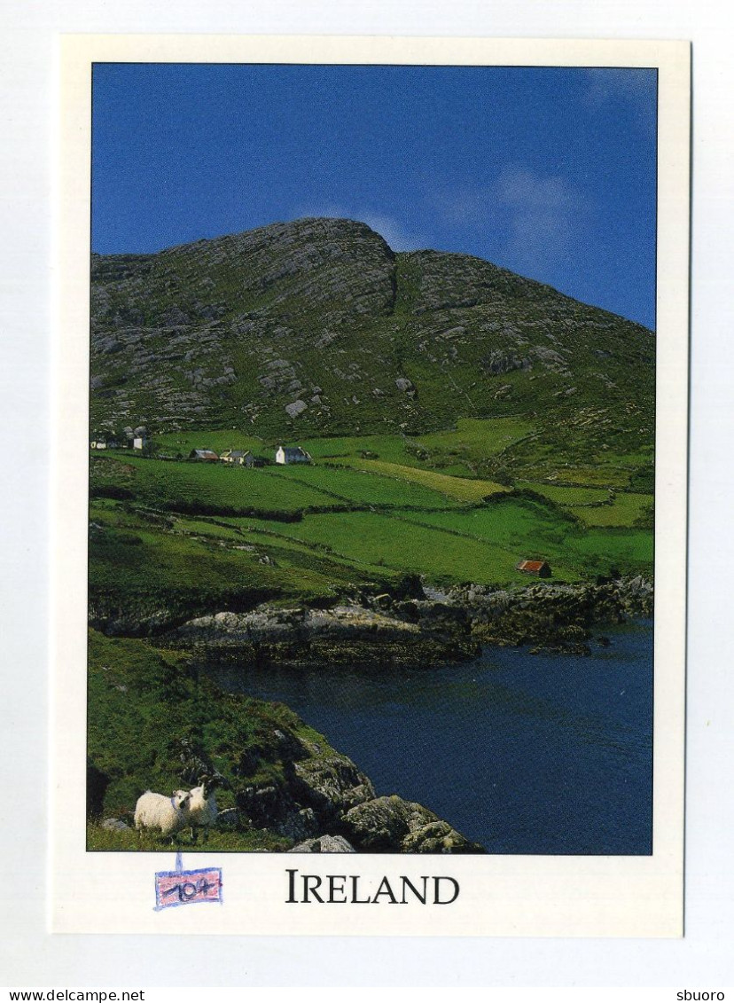 Used Postcard. Beara Peninsula, West Cork, Ireland / Eire. Liam Blake. Real Ireland Design Ltd. Nature. - Cork