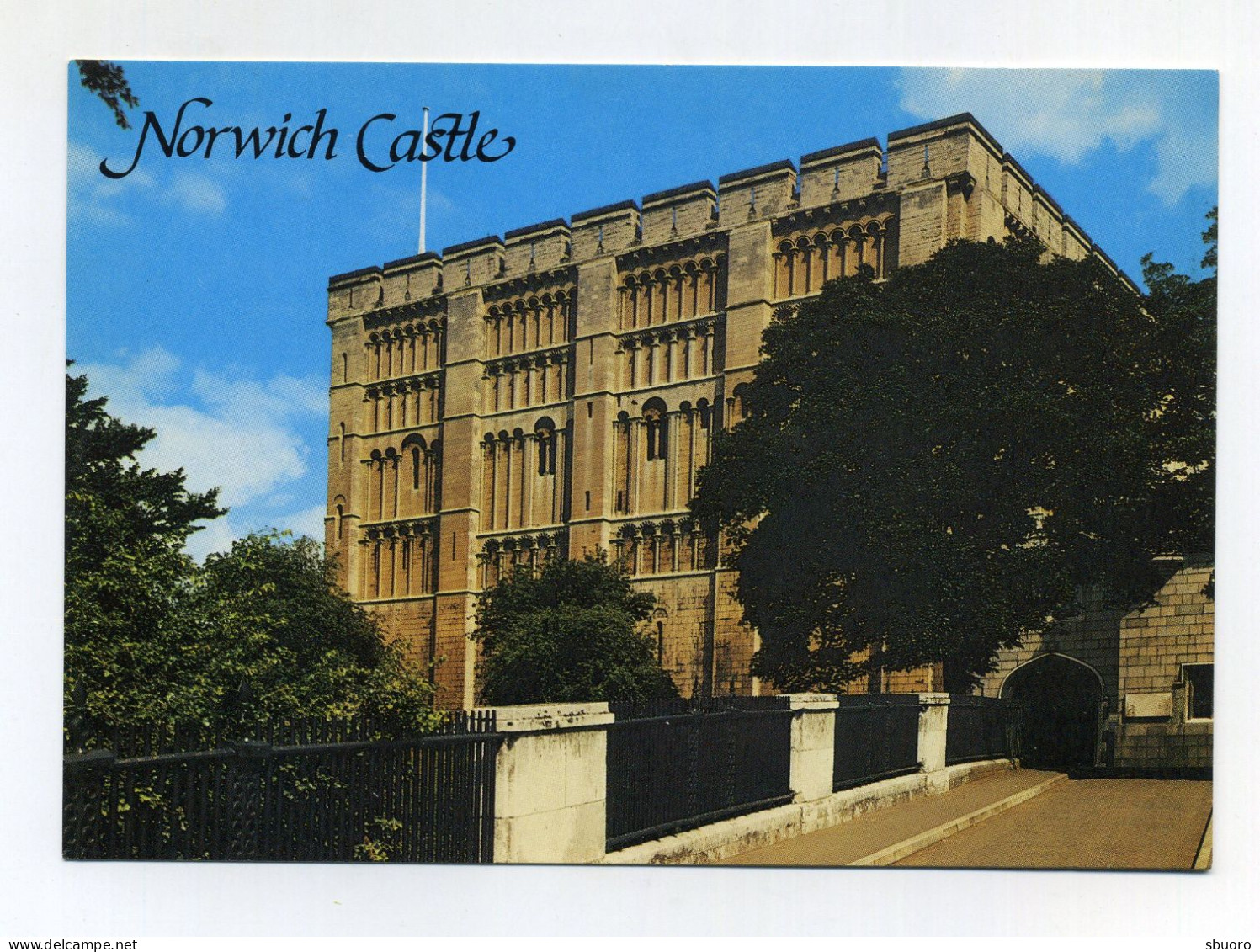 CP Neuve New Postcard. Norwich Castle. Salmon Cameracolour Postcard, Printed In England. Château Castel Castillo Schloss - Norwich