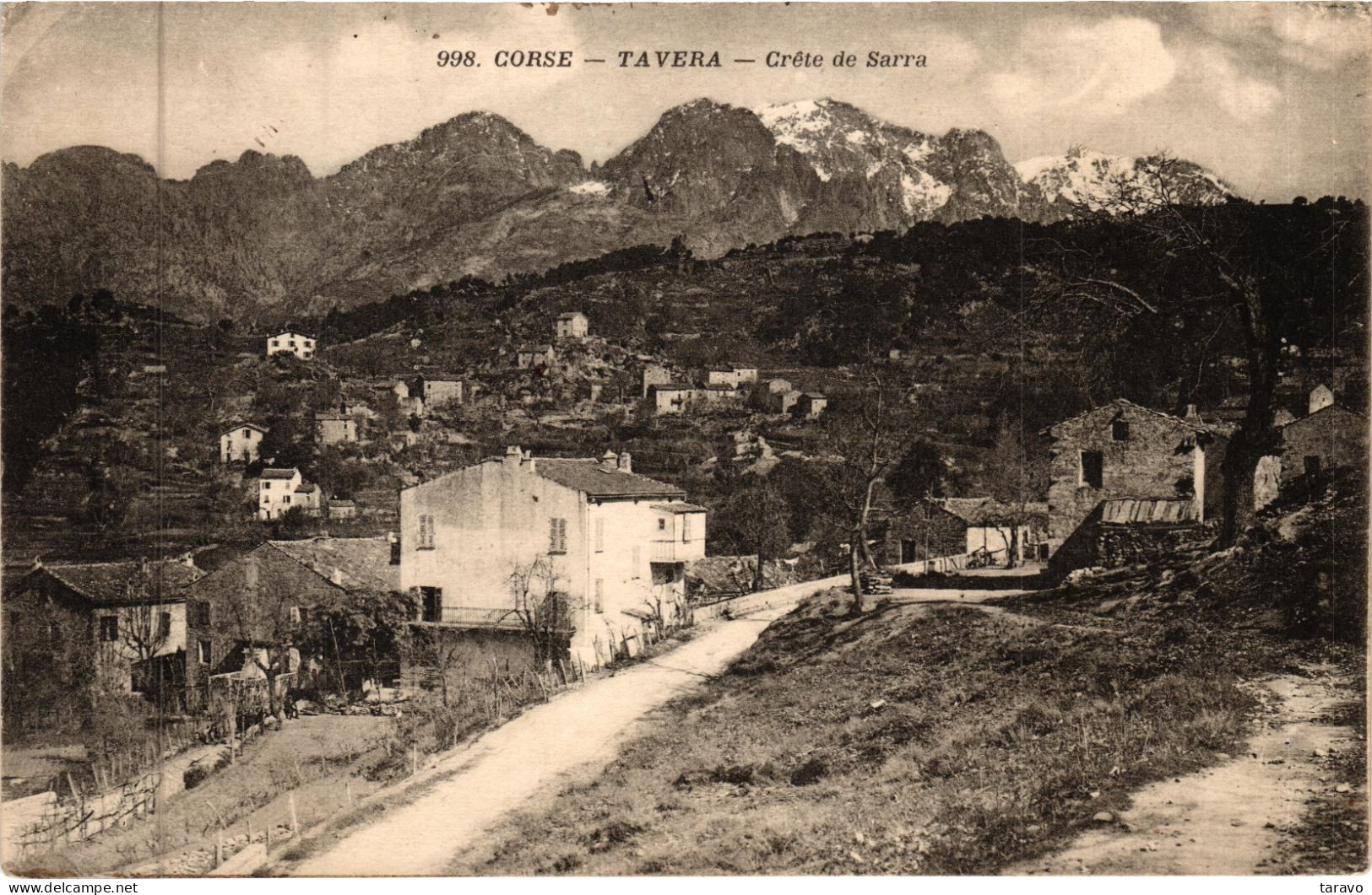 CORSE - UN COIN DE TAVERA - Crête De Sarra - Près De BOCOGNANO Et BASTELICA - Other & Unclassified
