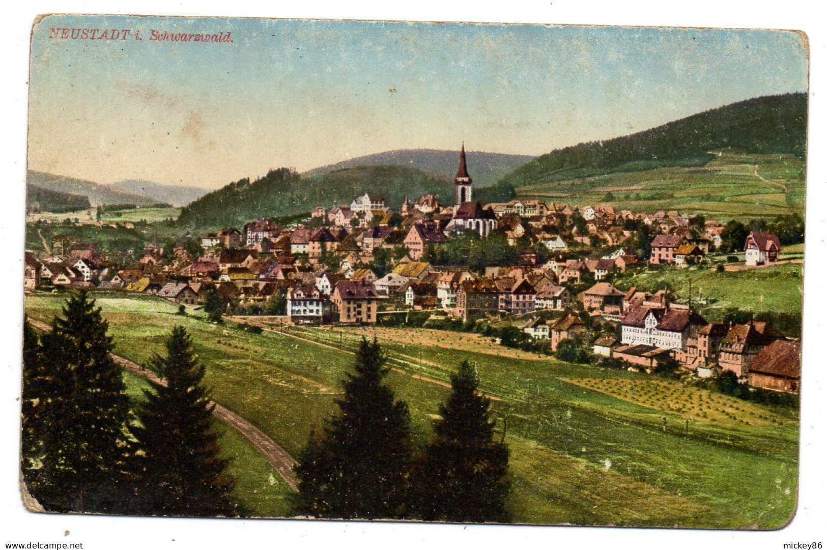 Allemagne-- NEUSTADT I Schwarzwald --- Total.....colorisée.... - Neustadt (Weinstr.)