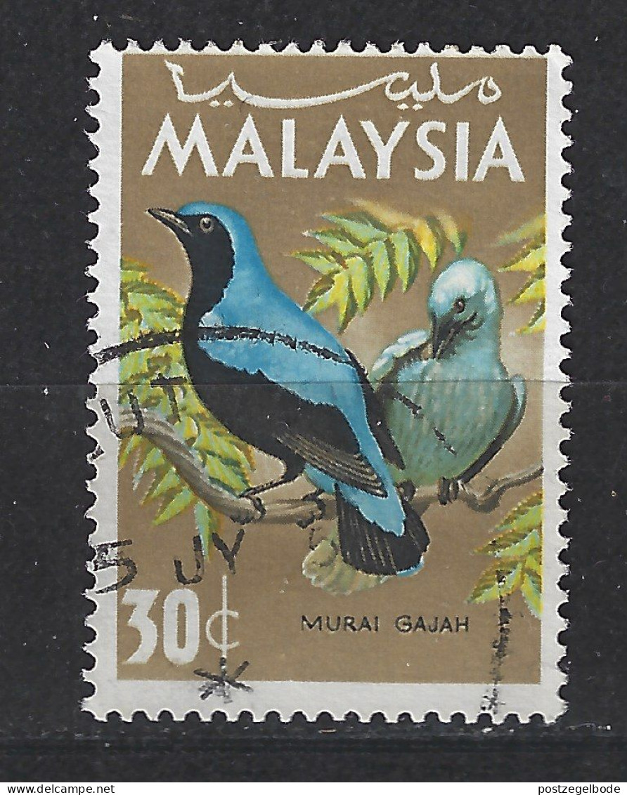 Maleisie Malaysia Used ; Gaai Jay Geai Arrendajo Indische Blauwrug Vogel Bird Ave Oiseau - Cuckoos & Turacos