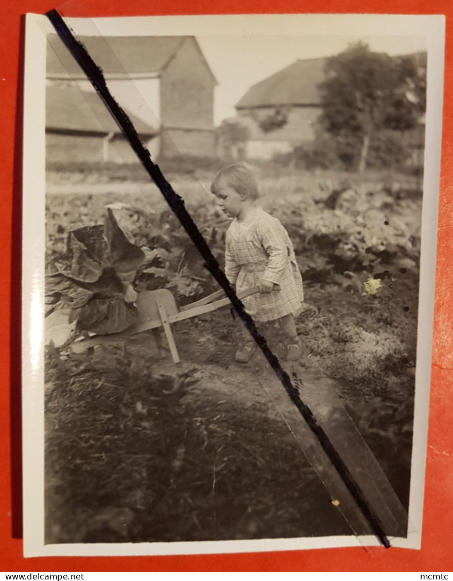 Photo -  Enfant Avec Brouette Dans Un Jardin - Other & Unclassified