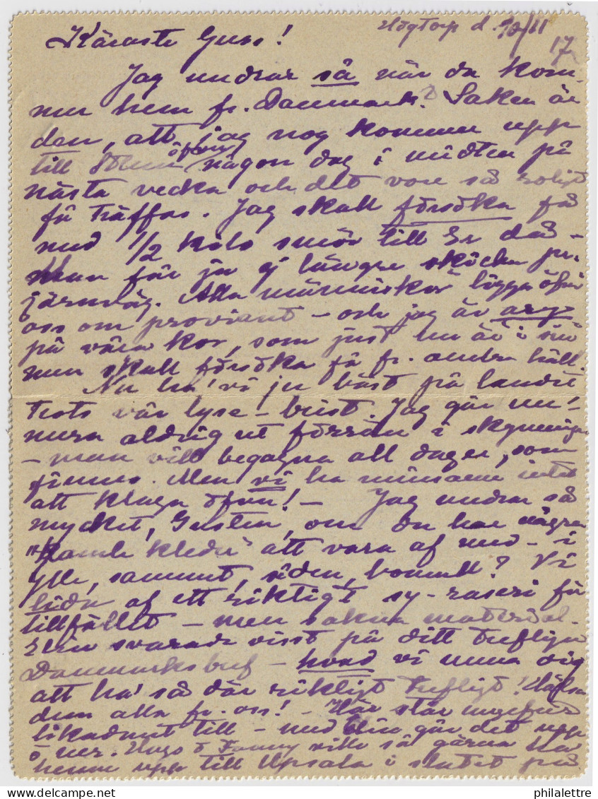 SUÈDE / SWEDEN - 1917 - Letter-Card Mi.K13 10ö Red (d.816) Used From MELLÖSA To COPENHAGEN, Denmark - Postal Stationery