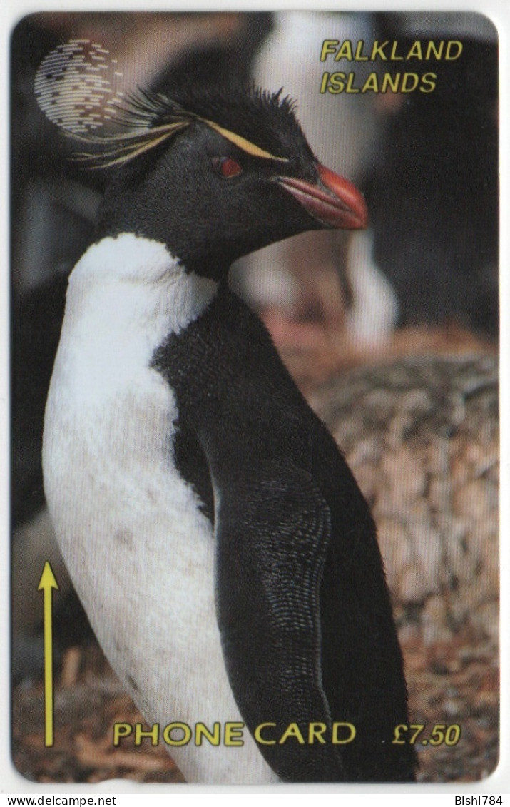 Falkland Islands - Rockhopper Penguin - 1CWFA - Falkland