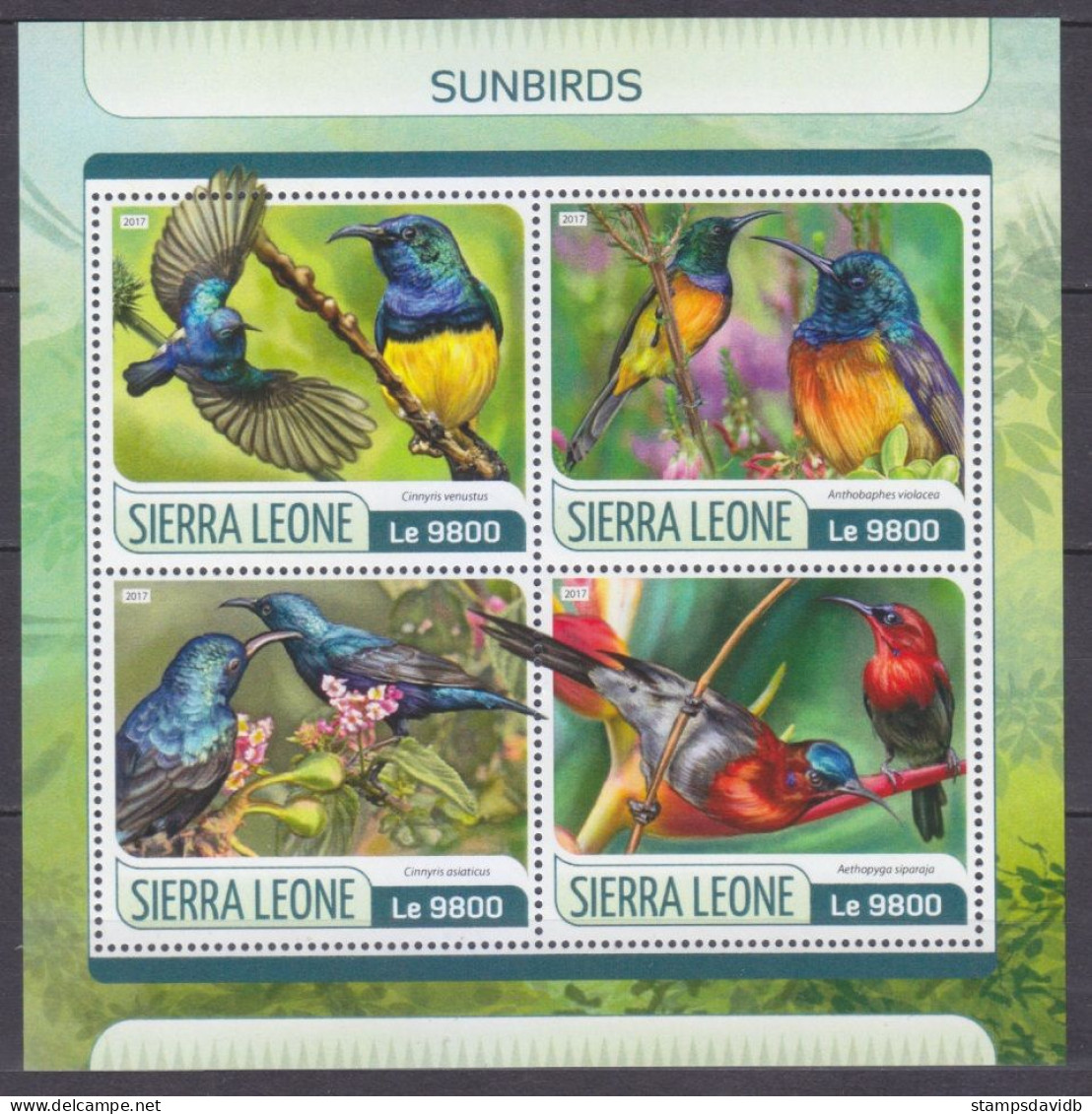 2017 Sierra Leone 8615-8618KL Birds 11,00 € - Piciformes (pájaros Carpinteros)