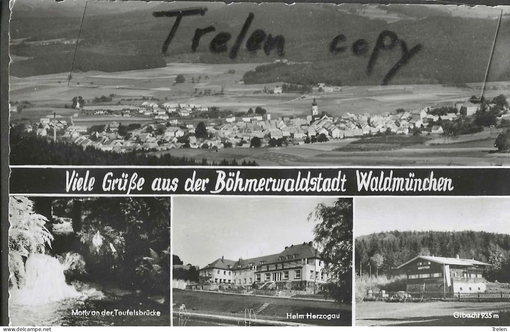 Allemagne, Waldmünchen, 1960, Gelaufen, Circulée - Cham