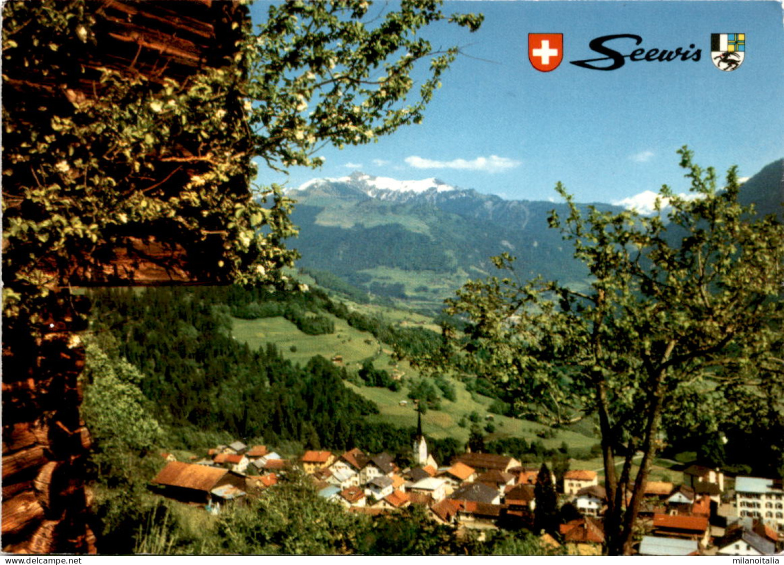 Seewis Im Prättigau (3003) * 20. 8. 1981 - Seewis Im Prättigau