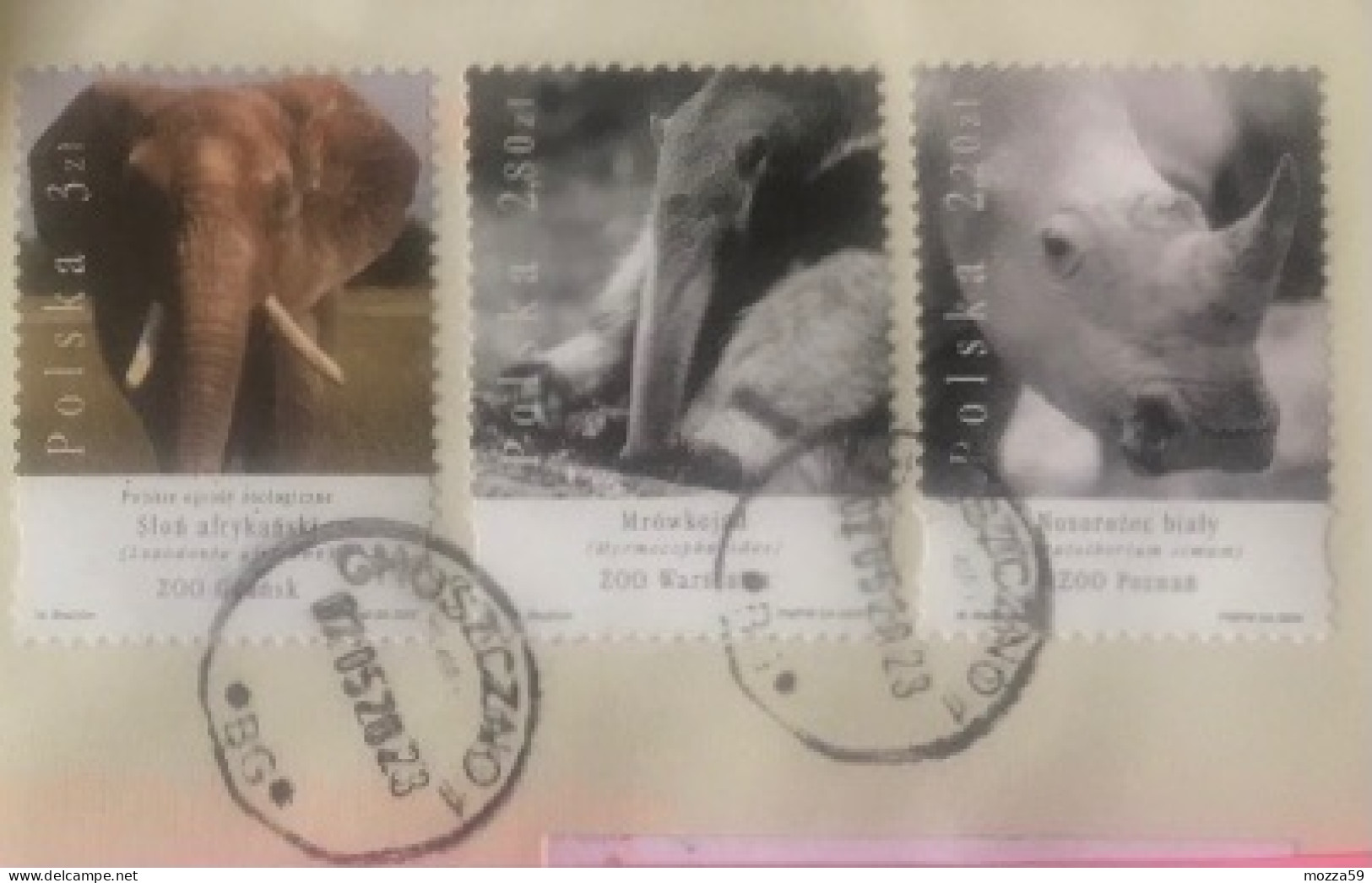 Poland 2023, Choszczno. Elephant, Rhino, Anteater On Cover To U.K. - Interesting - Covers & Documents