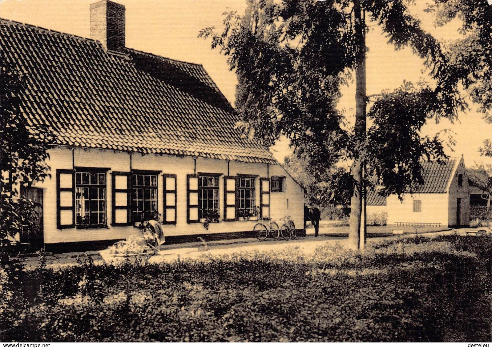 Openluchtcentrum Nobelstede - Aalter - Aalter