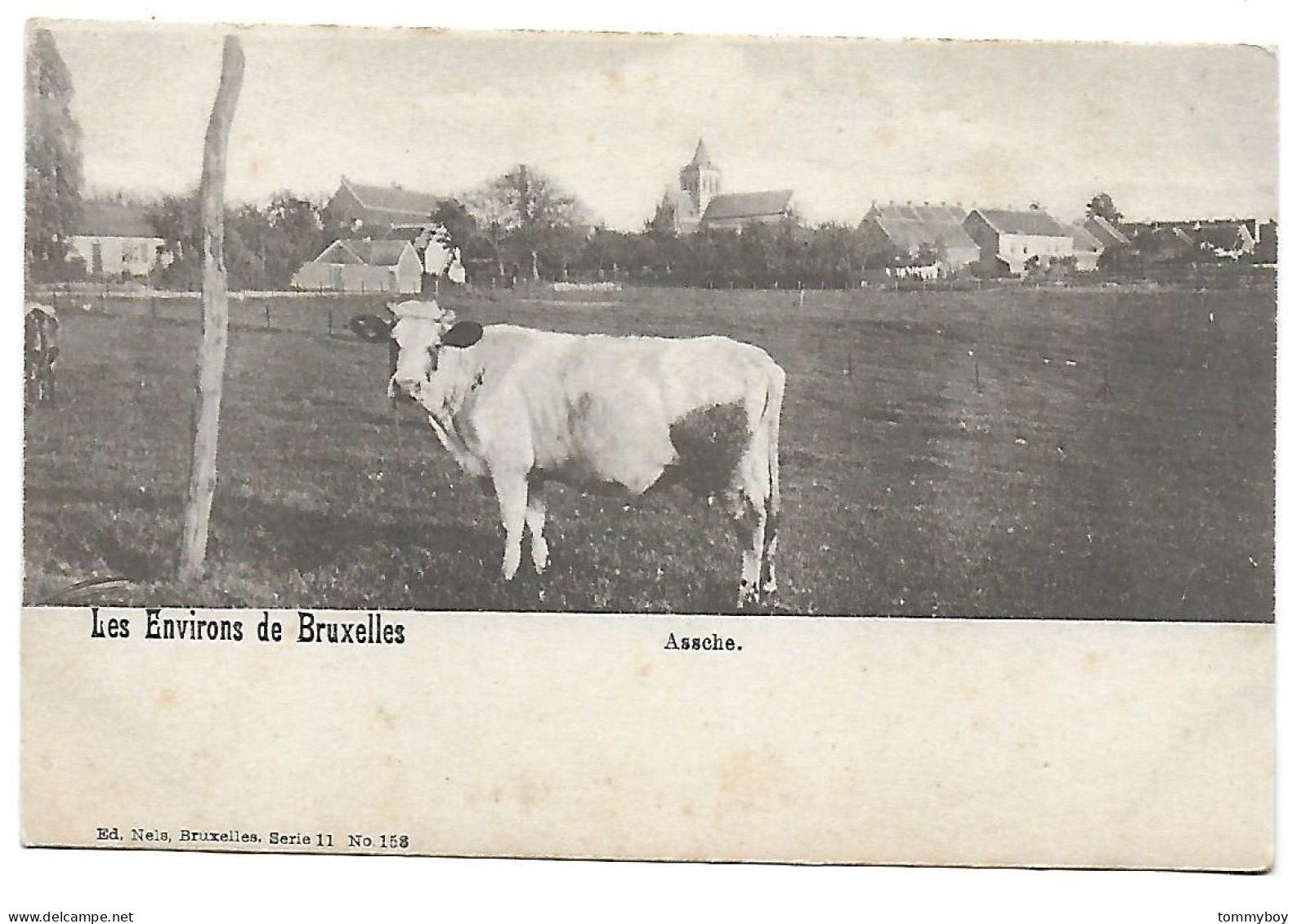 CPA Asse, Les Environs De Bruxelles, Assche - Asse