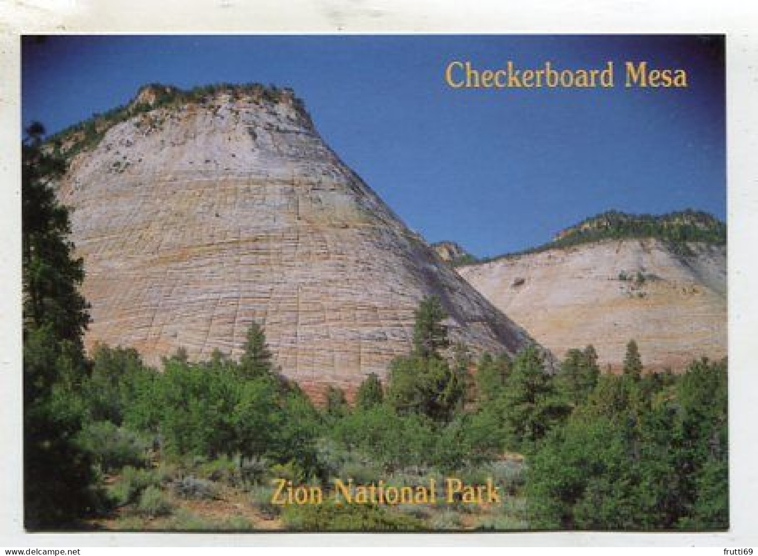 AK 135567 USA - Utah - Zion National Park - Checkerboard Mesa - Zion