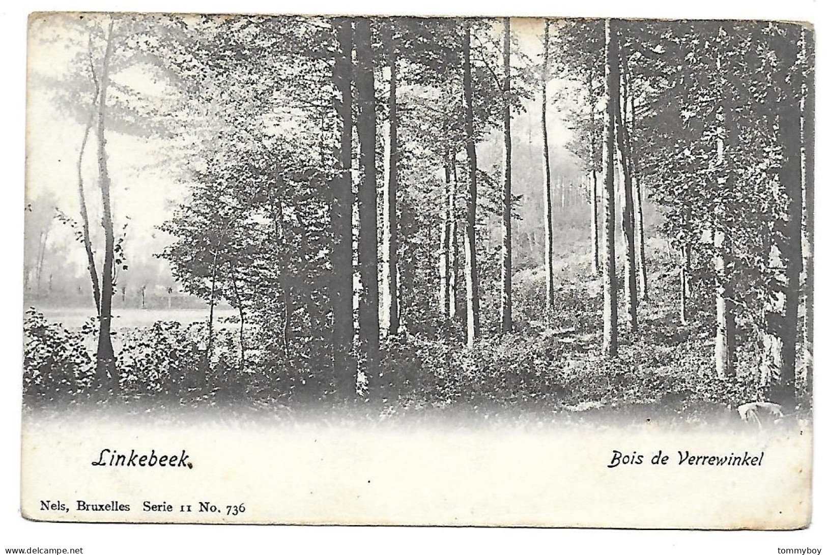 CPA Linkebeek, Bois De Verrewinkel - Linkebeek