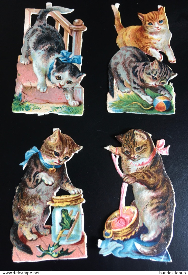 Bel Ensemble 4 Chromos Decoupis Chat Bocal Grenouille Pelote Laine Balle Jeu Chaton Cat Katze 6,5cm Hauteur - Tiere