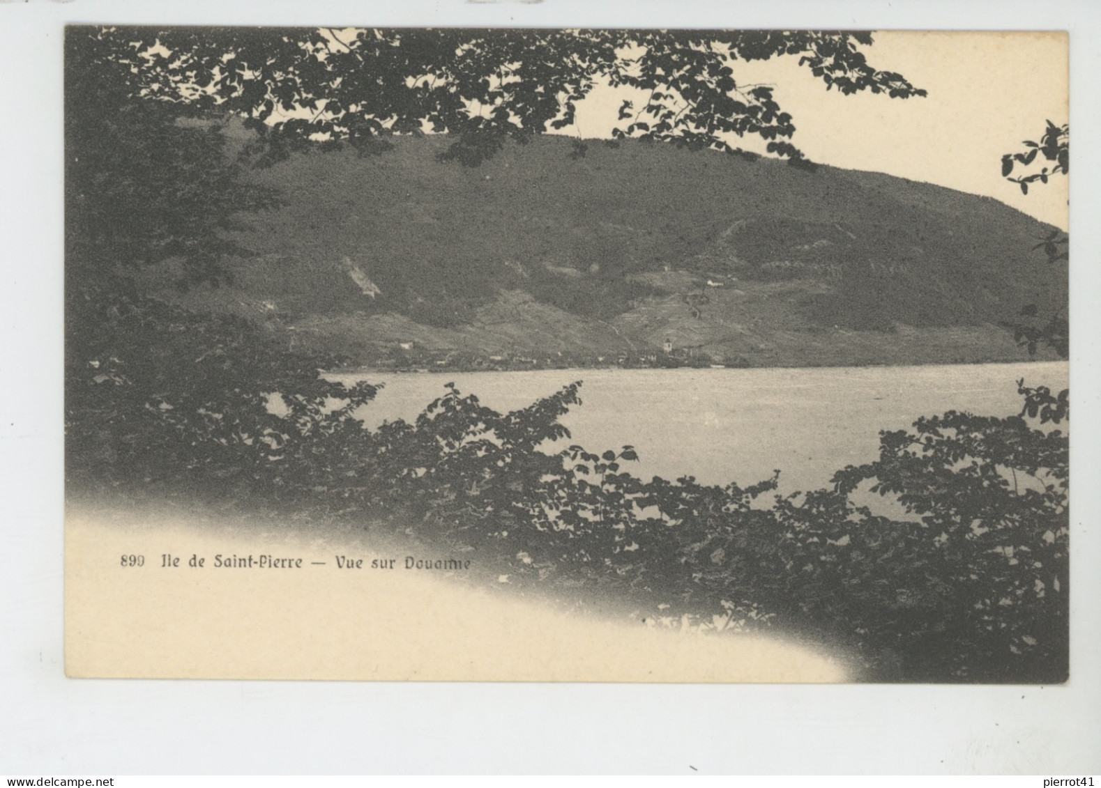 SUISSE - ILE DE SAINT PIERRE - Vue Sur Douanne - Douanne-Daucher