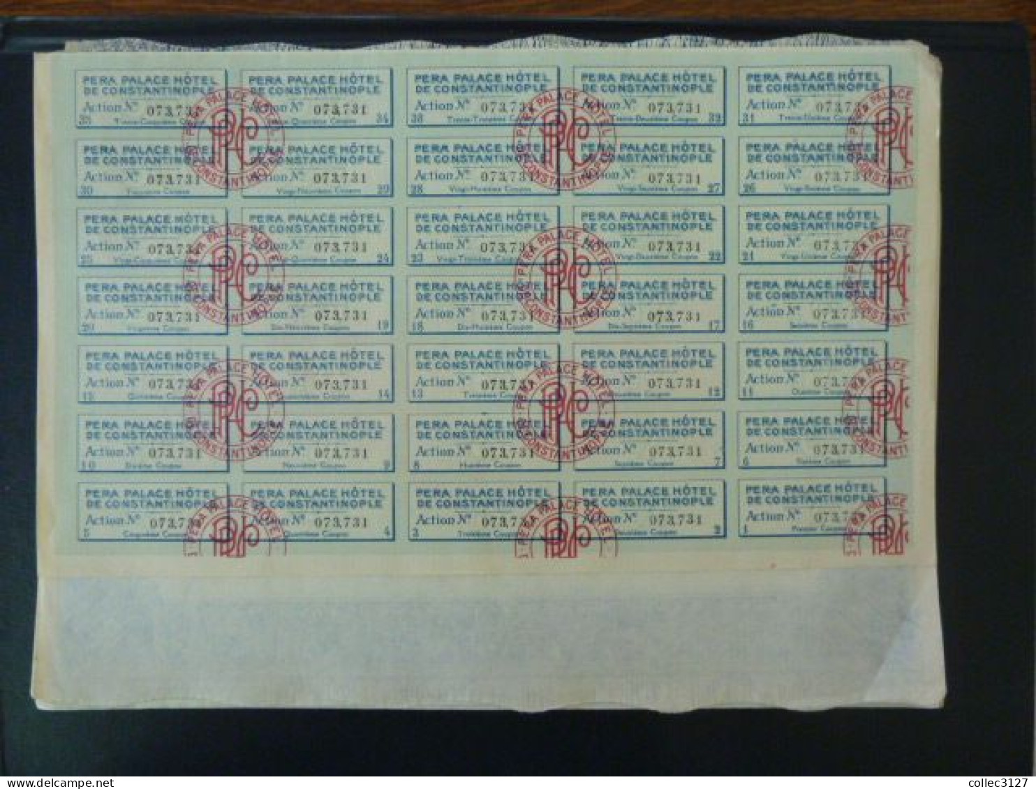 Lot De 25 Actions PERA Palace Hotel Constantinople - 100 Francs - 1922 - Avec Tous Leurs Coupons - Tourisme