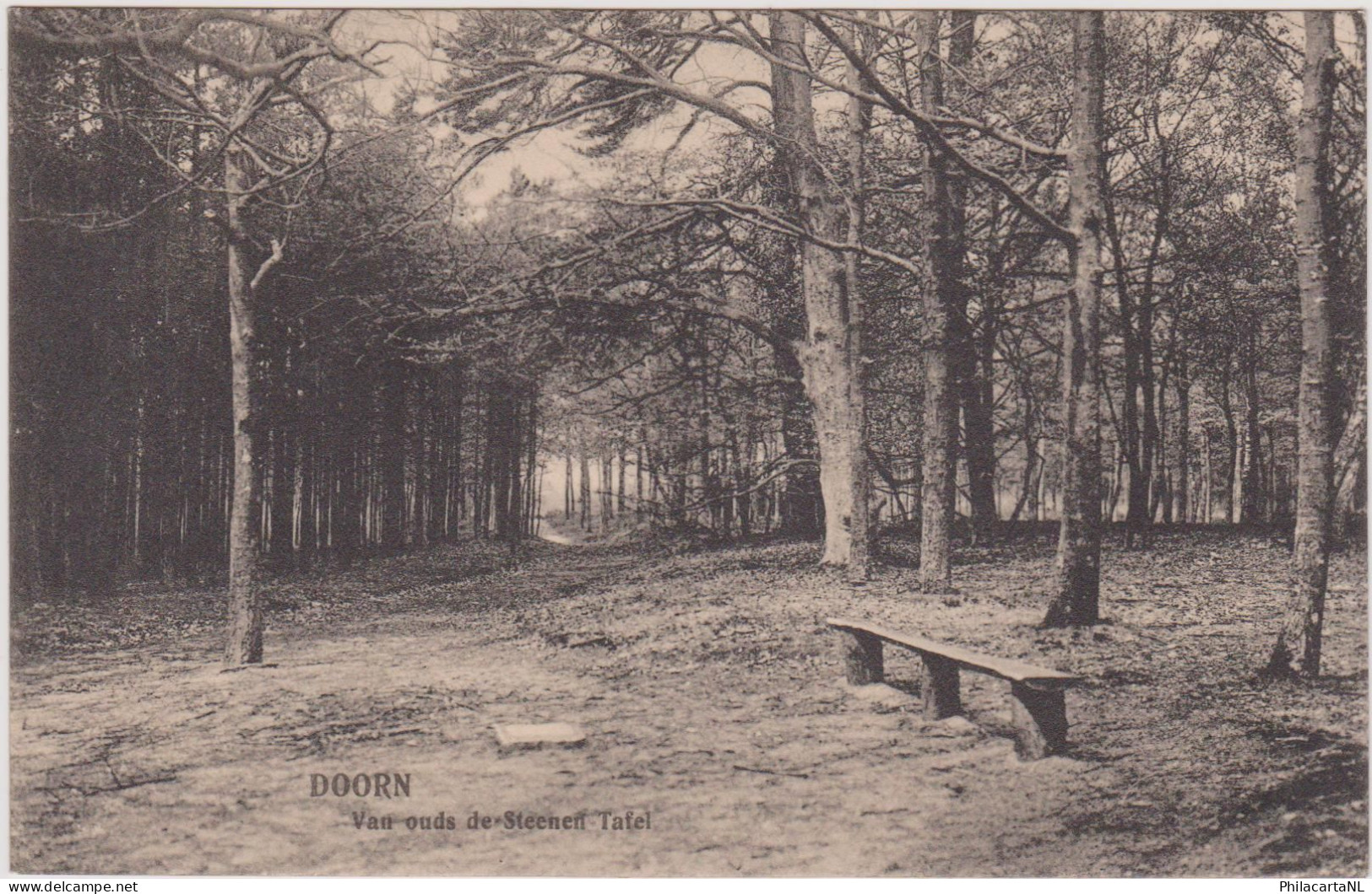 Doorn - Van Ouds De Steenen Tafel - Zeer Oud - Doorn