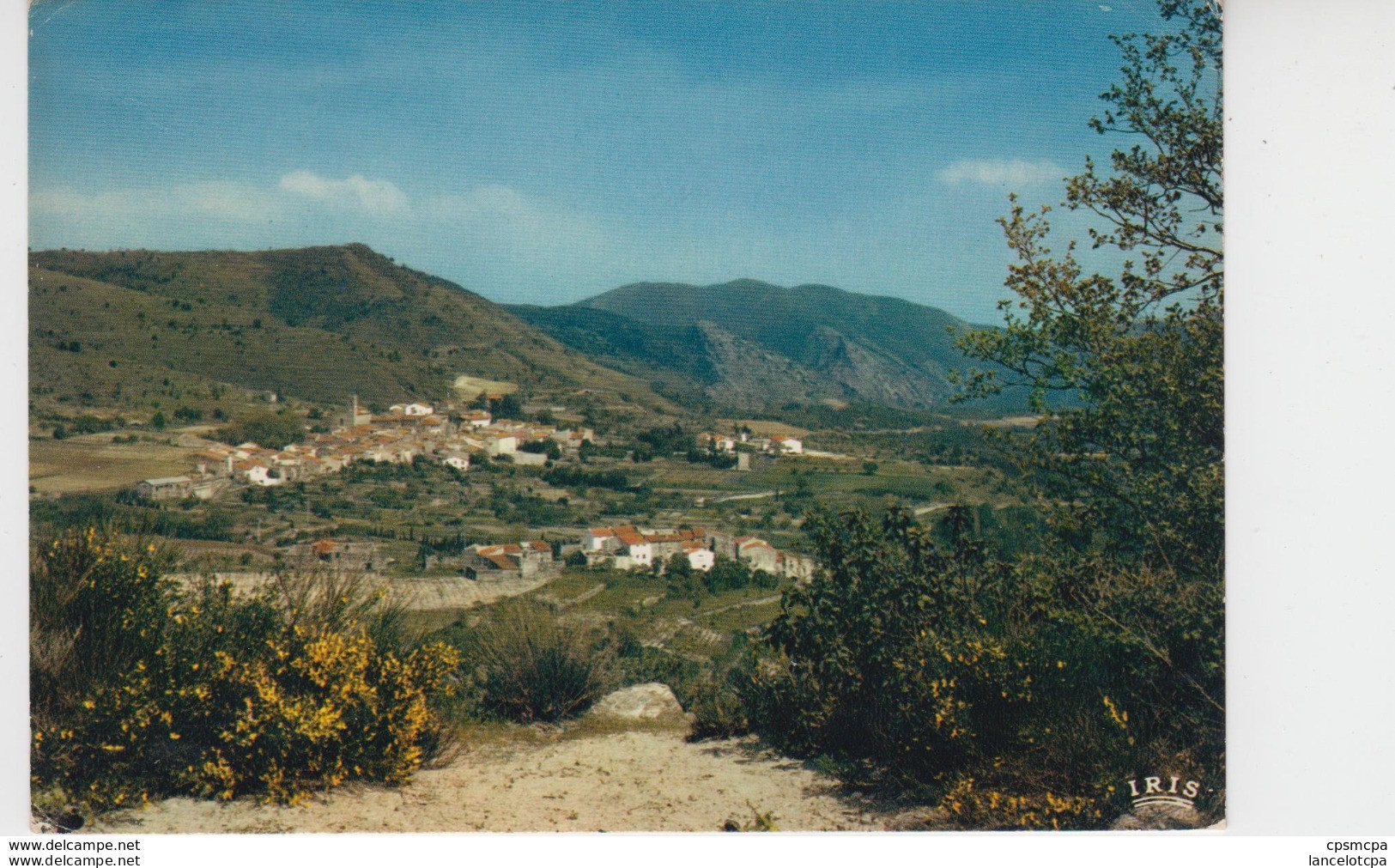 66 - SOURNIA / VUE GENERALE - Sournia