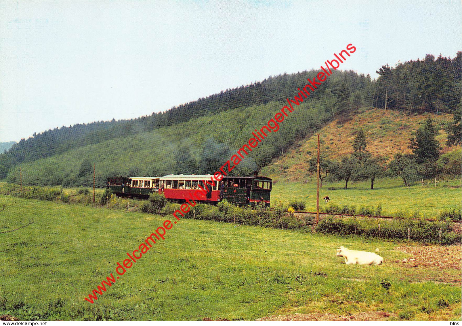 Tramway Touristique De L'Aisne - Erezée - Erezee