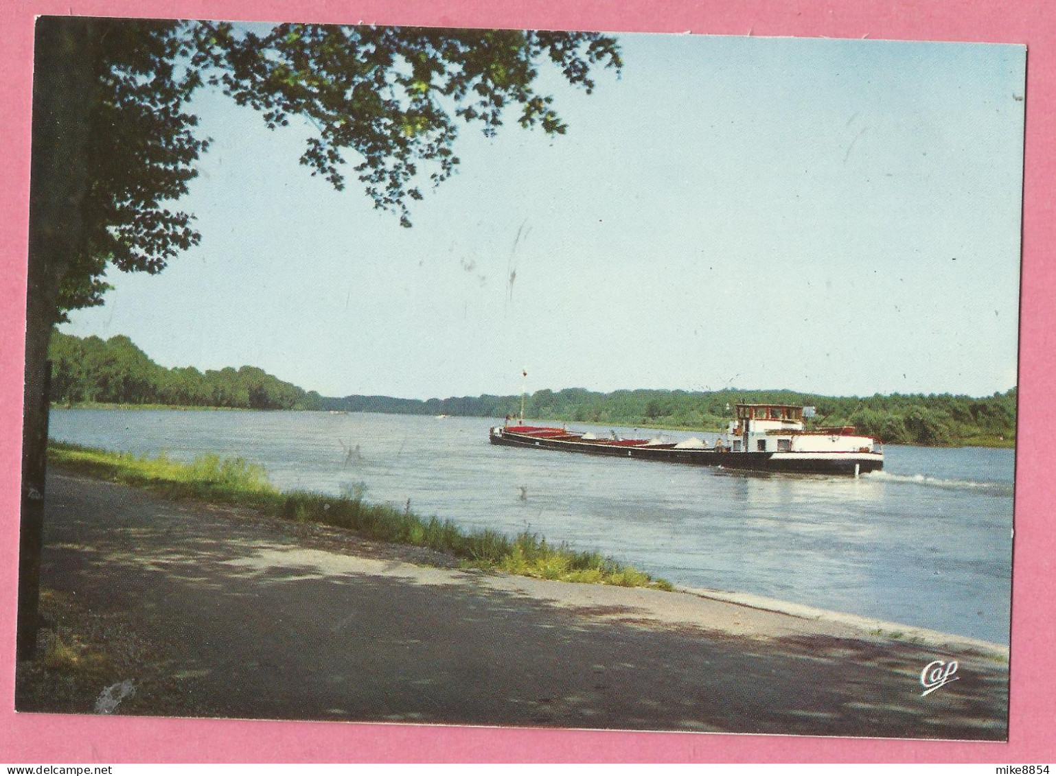 EP290  CP  LAUTERBOURG   (Bas-Rhin)  Le Rhin  - Péniche  +++++ - Lauterbourg