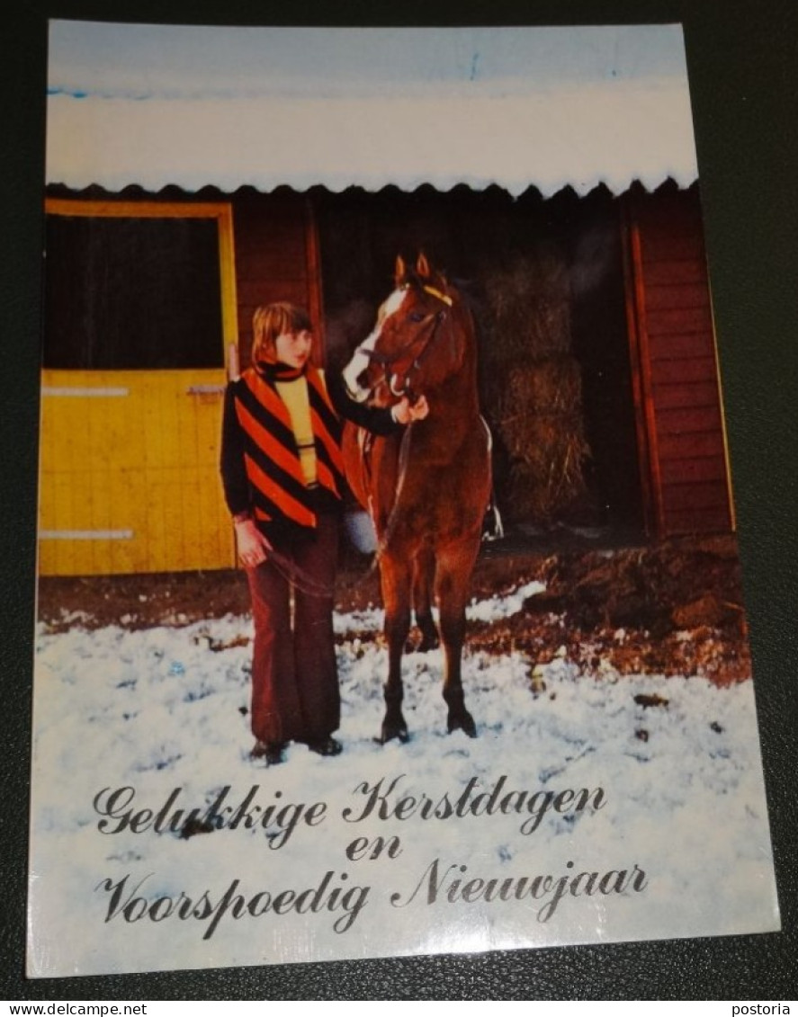 Paarden - Horses - Pferde - Cheveaux - Paard - In Sneeuw Voor De Stal Met Jongeman - Van De Ponyclub - Einde Jaar Kaart - Chevaux