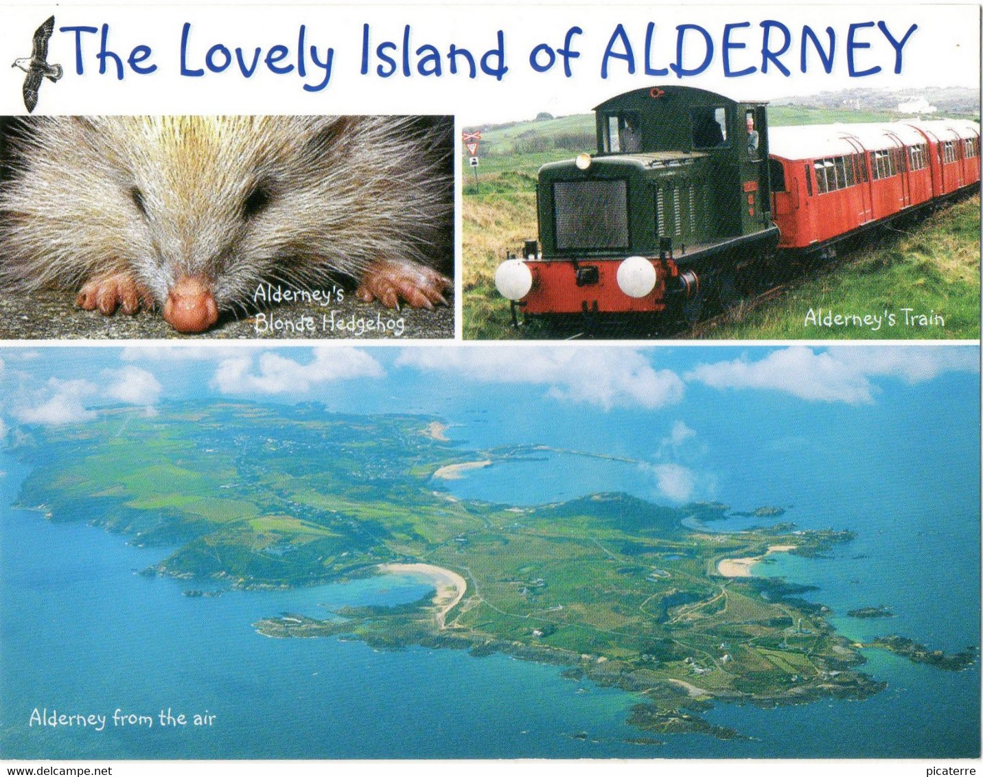 ALDERNEY-Aerial View Of Island + A Blond Hedgehog & Alderney's Train:-ile Aurigny, Vue Aerienne - Alderney