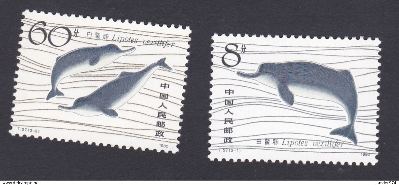 Chine 1980, Dauphin - Chinese River Dolphin, La Serie Complète , 2 Timbres Neufs ,  Scan Recto Verso . - Unused Stamps