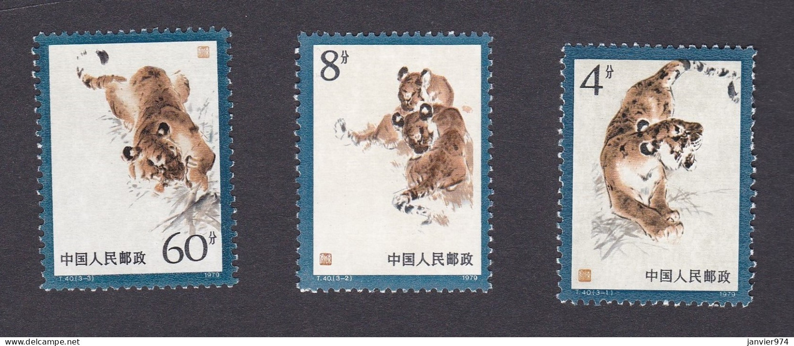 Chine 1979. Tigre Mandchou , La Serie Complète , 3 Timbres Neufs, Scan Recto Verso . - Unused Stamps