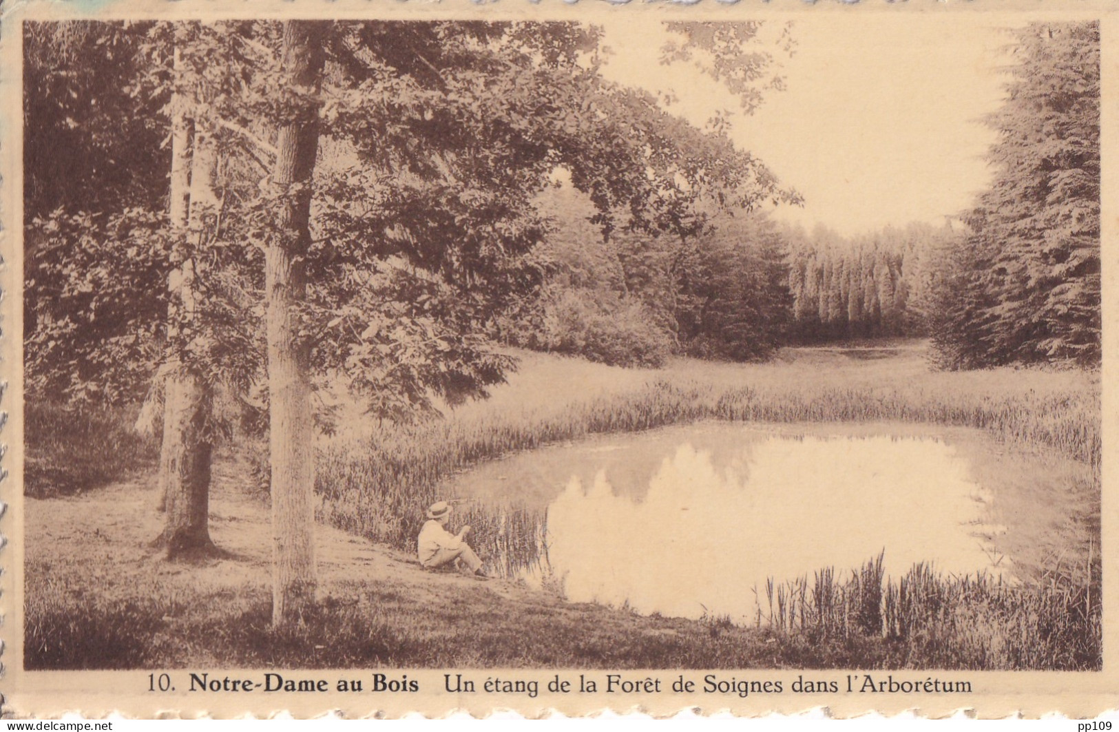 CP Notre Dame Au Bois Un étang De La  Forêt De Soignes Dans L'Arborétum - Overijse